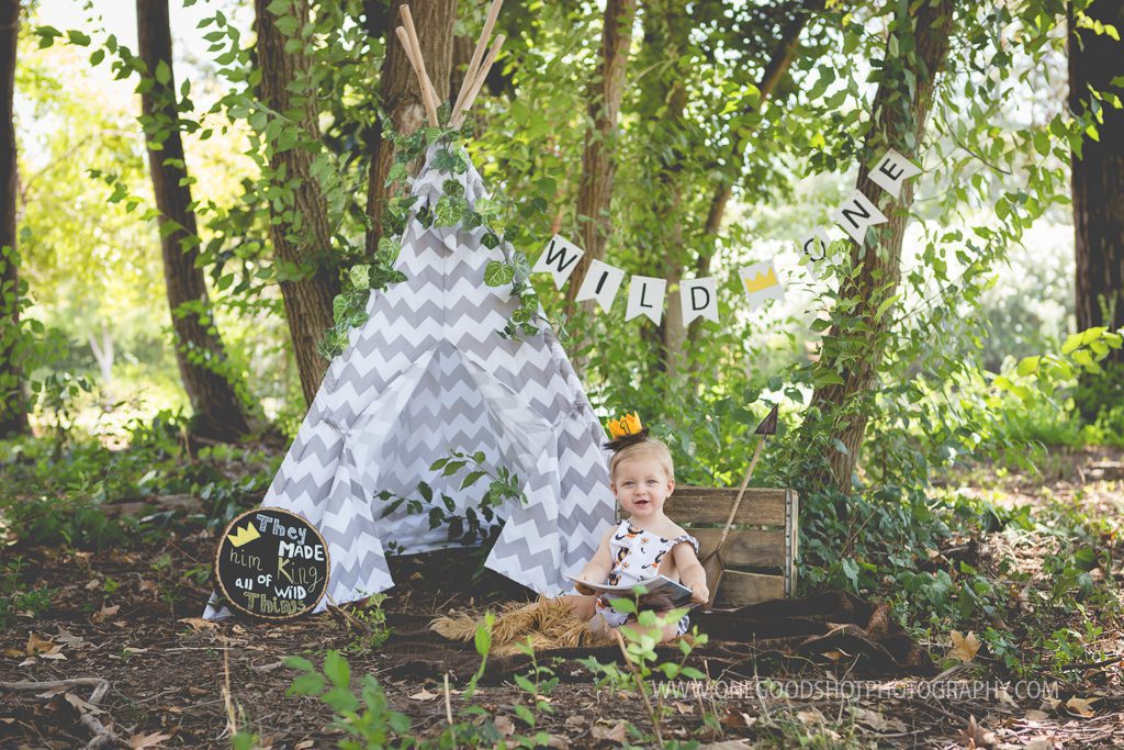 first birthday boy, where the wild things are, tee pee, cake smash, woodsy