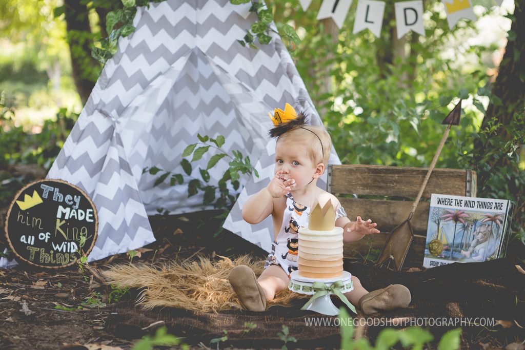 first birthday boy, where the wild things are, tee pee, cake smash, woodsy