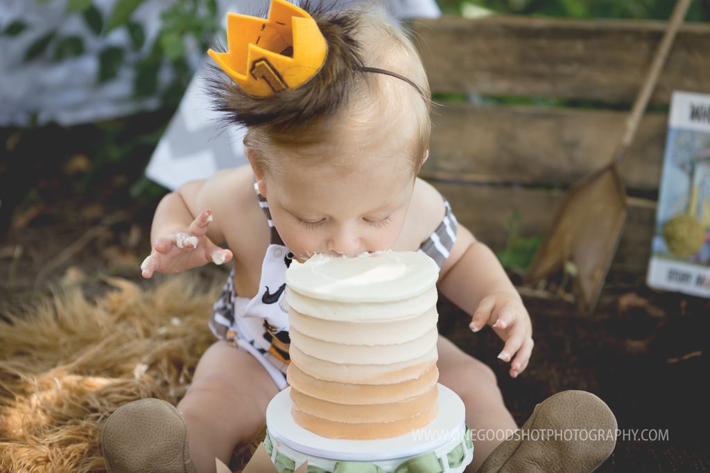 baby eating cake with no hands, where the wild things are, first birthday, cake smash