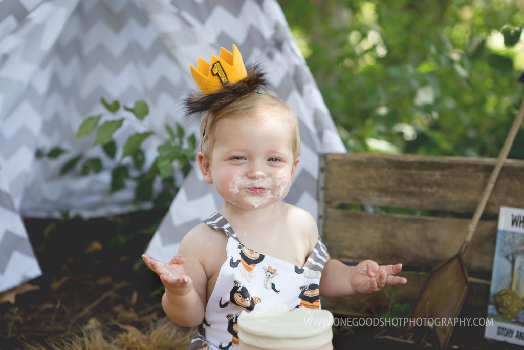 first birthday boy, where the wild things are, tee pee, cake smash, woodsy, baby smiling 