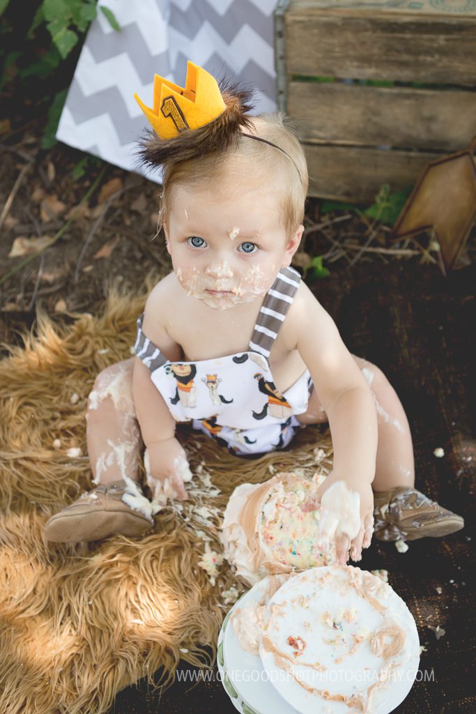 first birthday boy, where the wild things are, tee pee, cake smash, woodsy, hand in cake