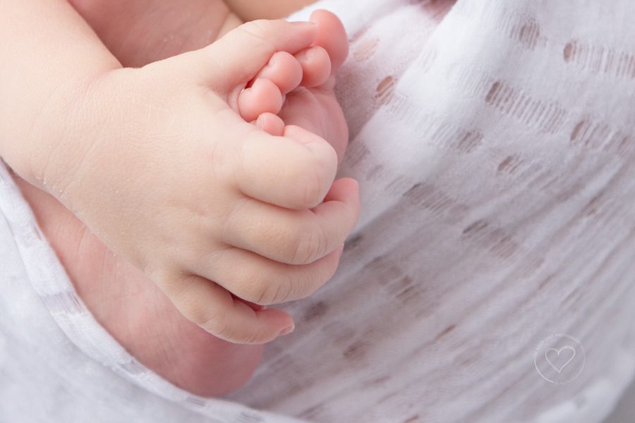 newborn photos, hand holding foot, baby boy, wrapped in white
