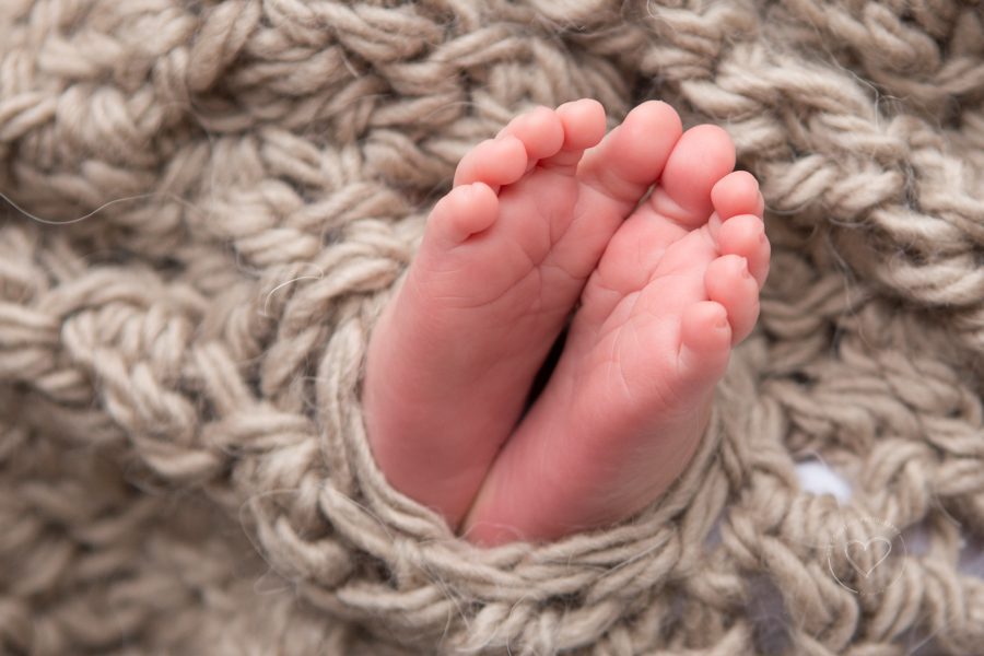 newborn boy, feet, piggy toes, 
