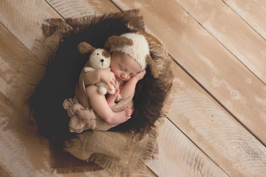 newborn boy, curled up in bowl, holding puppy, brown, tan, neutrals