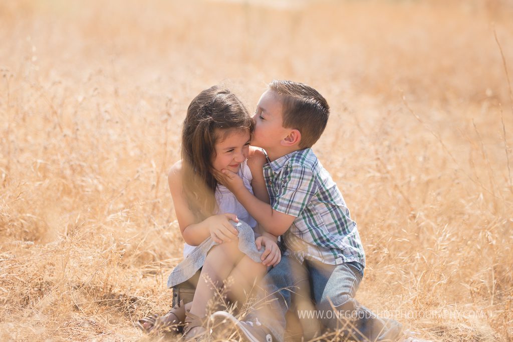 little brother kissing big sister sitting on a box in a wheat grass field, backlit