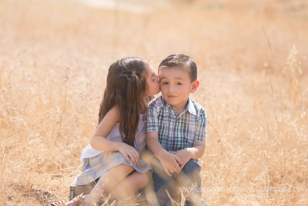 little girl kissing little brother on the cheek, sitting on a box, in a wheat grass field, backlit image