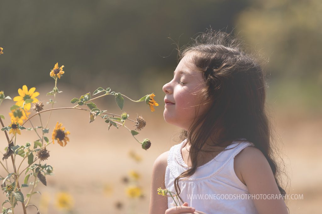 Girl in field smelling yellow wildflowers, child photographer
