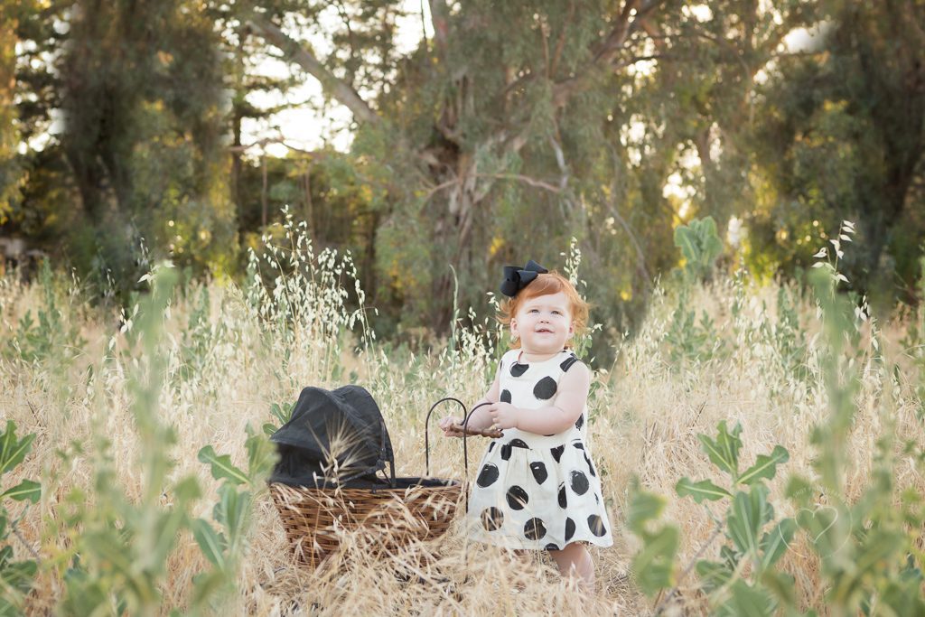 Fresno Baby Photographer, Vintage carriage, Field, One Good Shot Photography