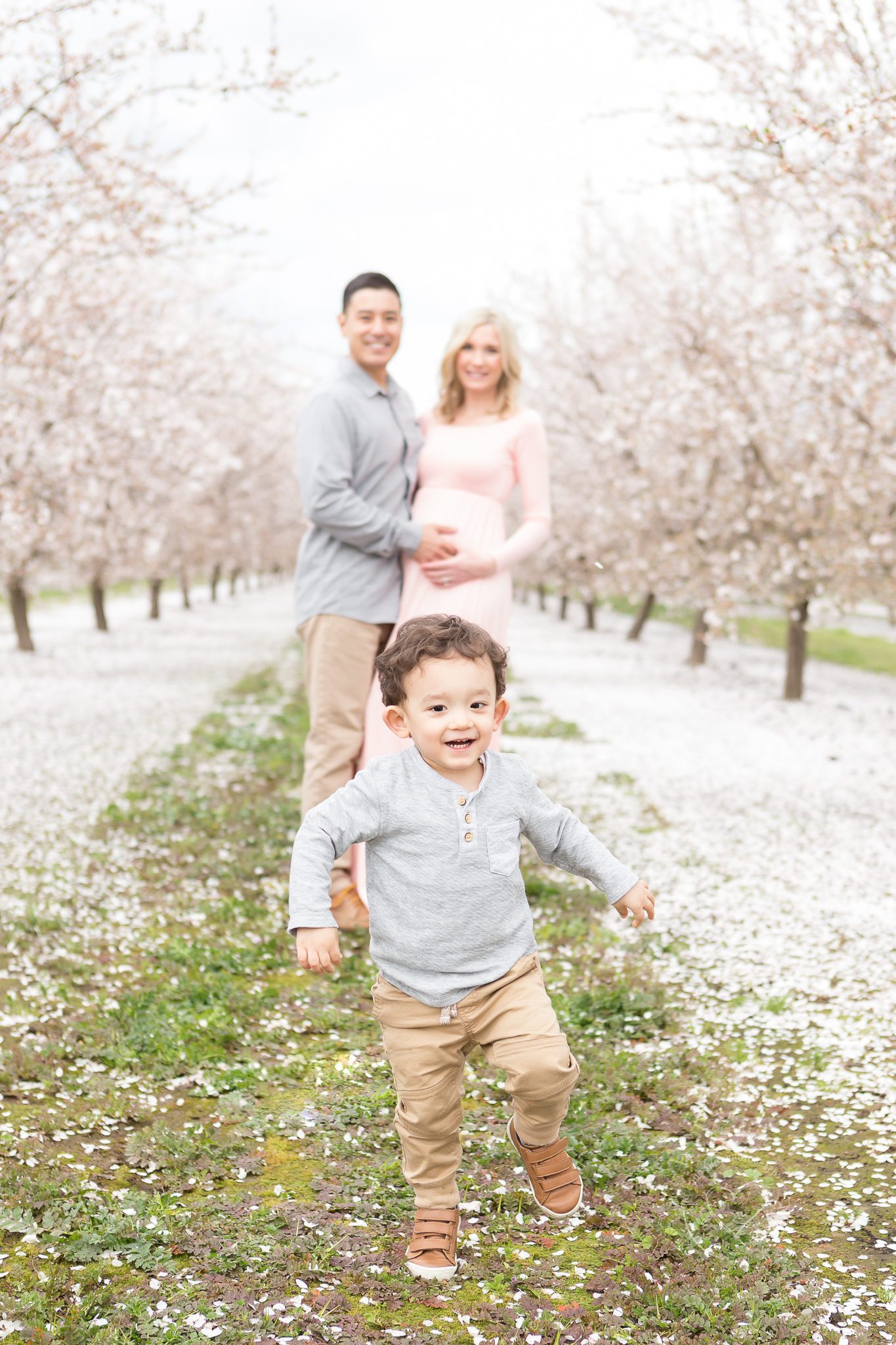maternity photos, pink maternity dress, toddler running ahead of mom and dad in the blossoms