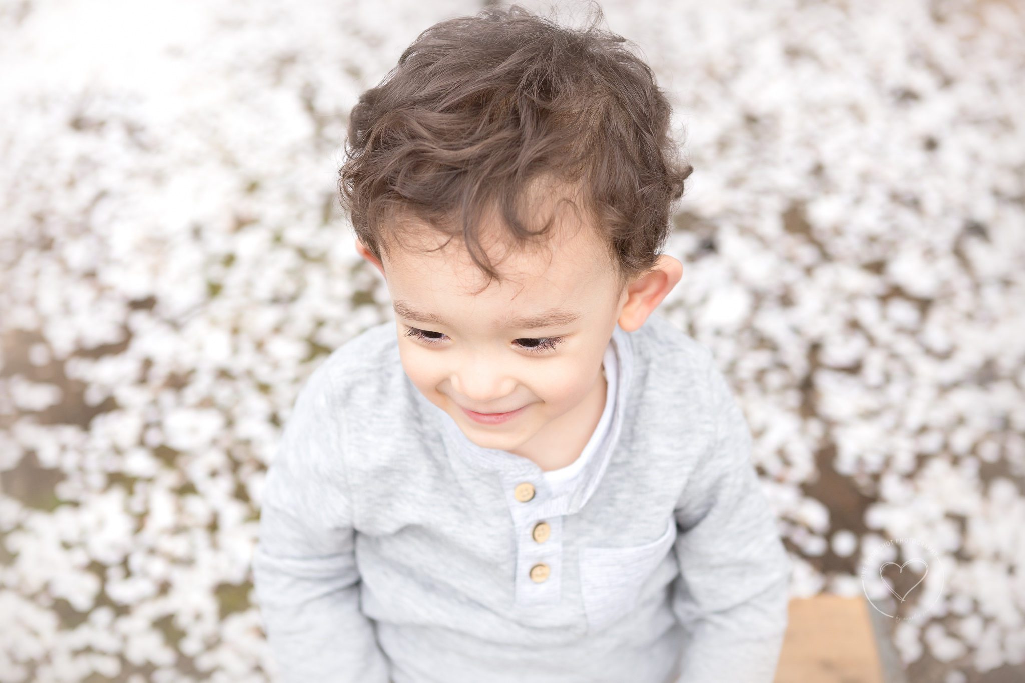 toddler boy, smiling, blossoms