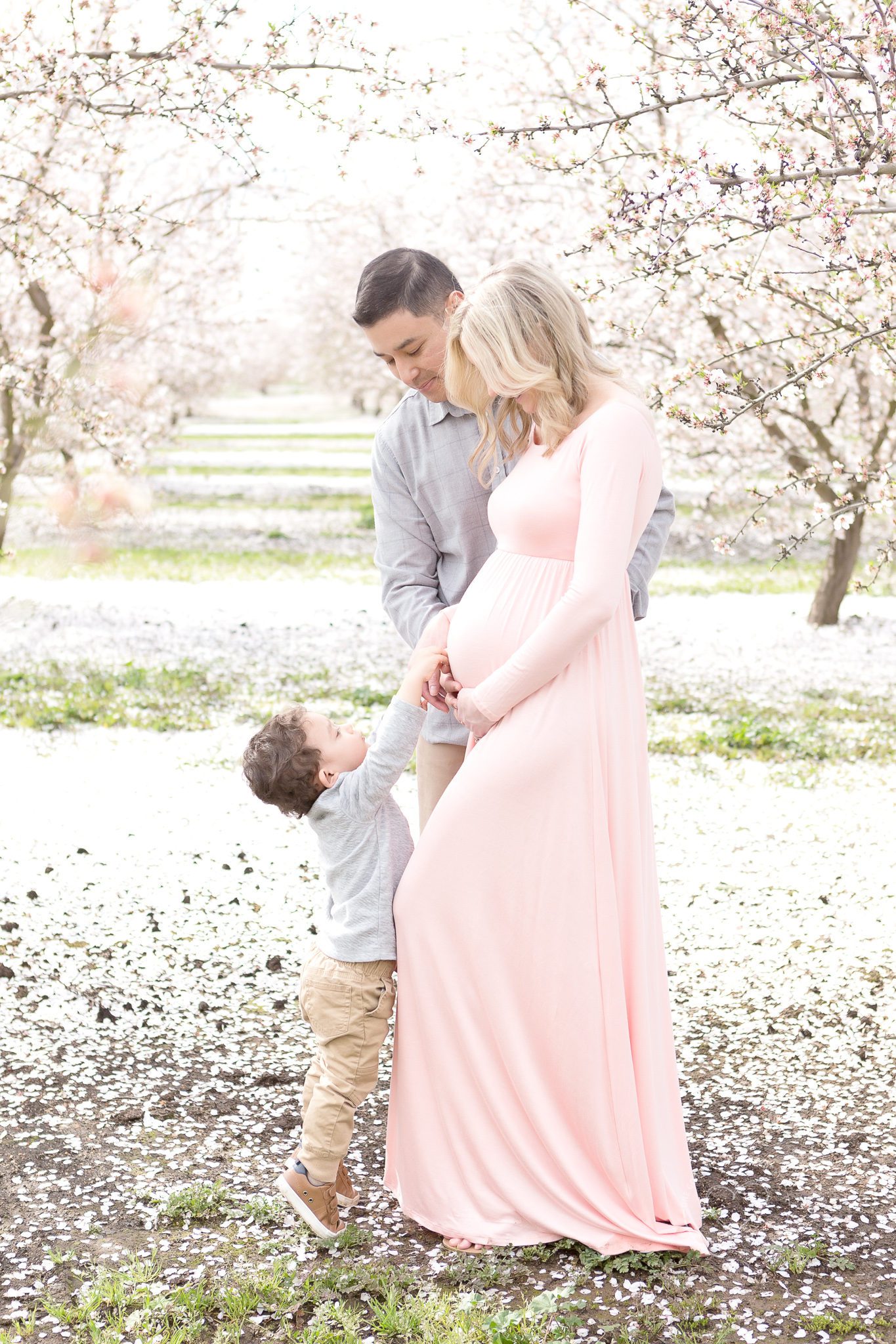 blossom maternity session, little boy looking up at mom and dad, pink dress