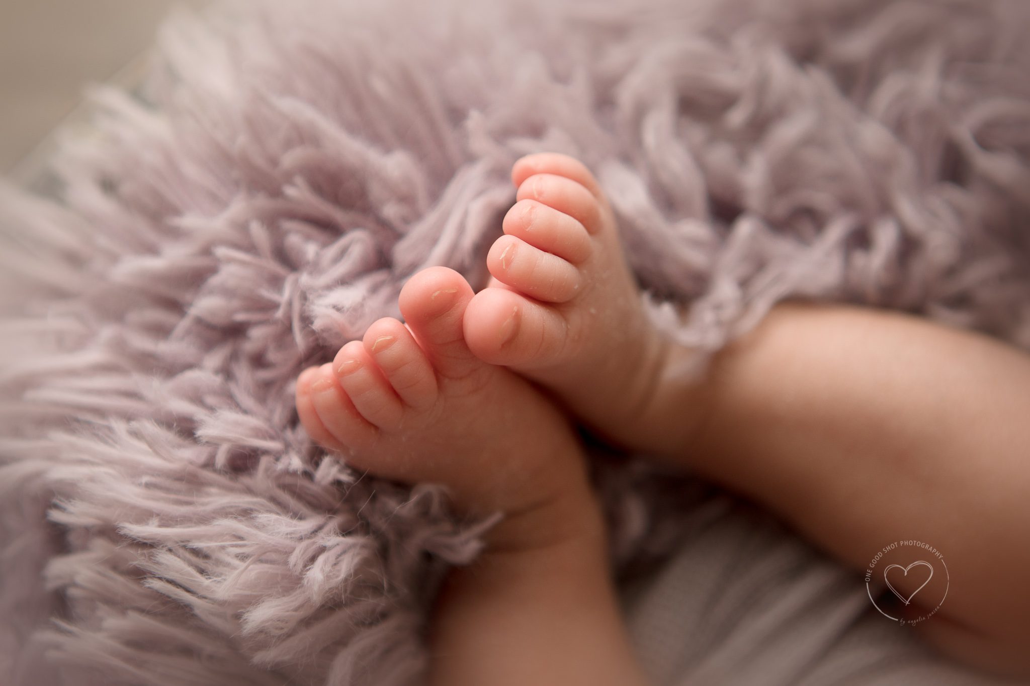 fresno newborn baby toes, lavender fur