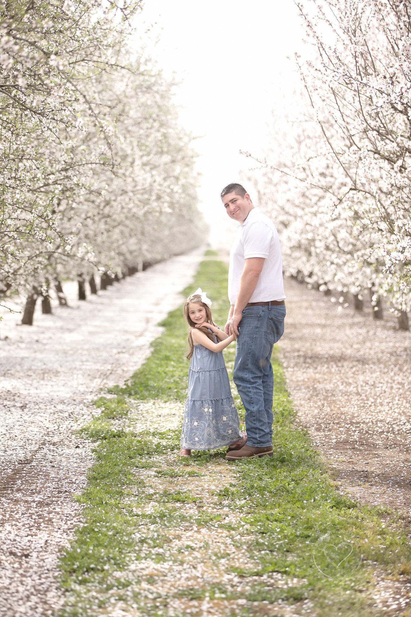 Father daughter, holding hands, blossom photos, blossom trail, fresno, clovis