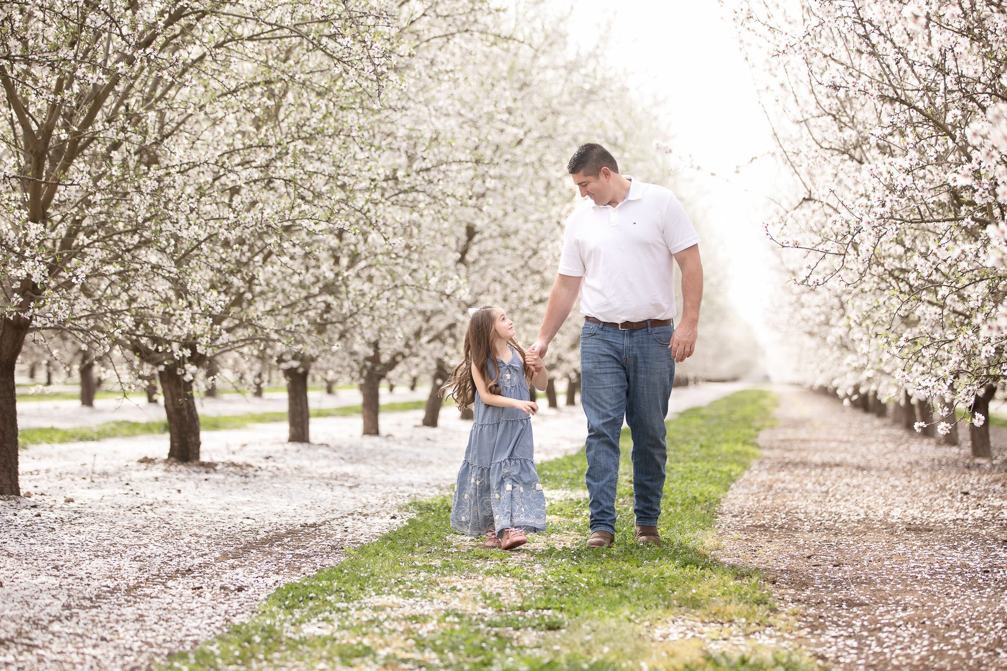 father and daughter walking in the blossom trails, holding hands, looking at each other, smiling, daddy's girl
