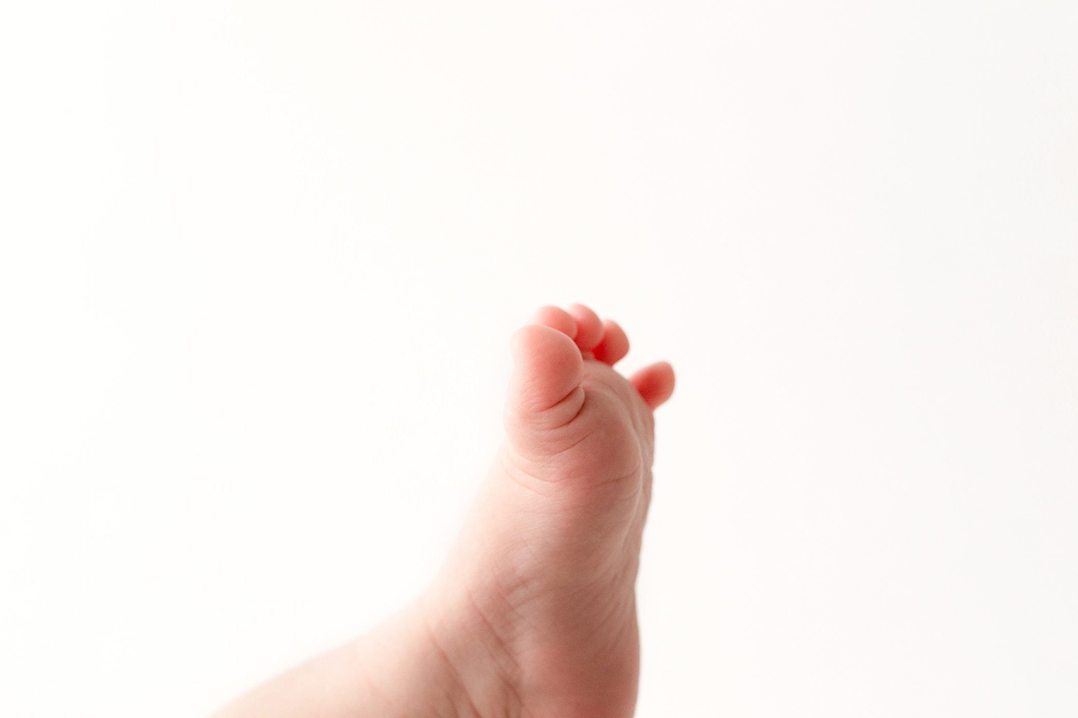 Fresno Newborn Baby Photographer, baby foot, macro